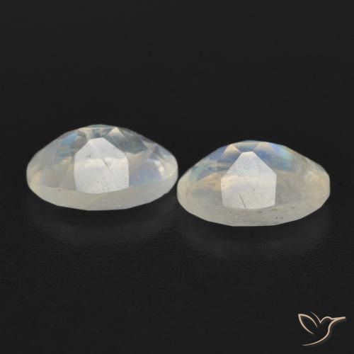 Gemas de Piedra lunar arcoíris Blanco azulado natural de 1.55 ct, Ovalada, Transparente
