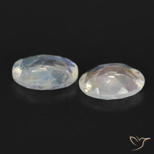 Gemas de Piedra lunar arcoíris Blanco azulado natural de 1.41 ct, Ovalada, Transparente