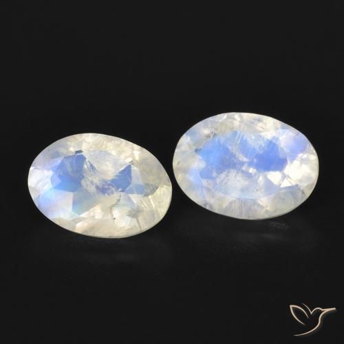 Gemas de Piedra lunar arcoíris Blanco azulado natural de 1.48 ct, Ovalada, Transparente