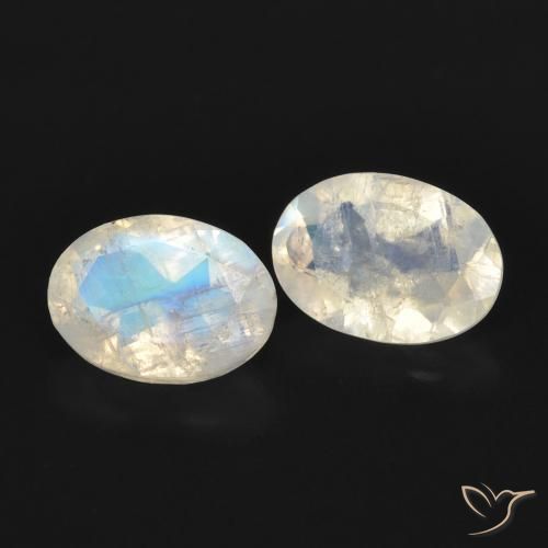 Gemas de Piedra lunar arcoíris Blanco azulado natural de 1.53 ct, Ovalada, Transparente