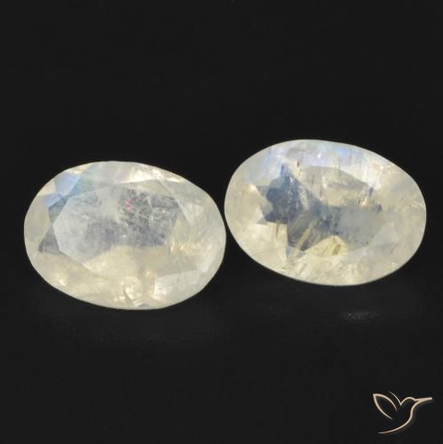 Gemas de Piedra lunar arcoíris Blanco azulado natural de 1.29 ct, Ovalada, Transparente