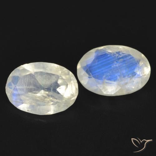 Gemas de Piedra lunar arcoíris Blanco azulado natural de 1.24 ct, Ovalada, Transparente