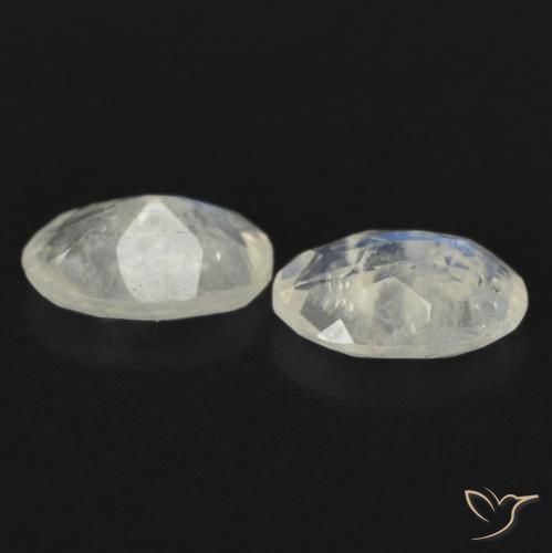 Gemas de Piedra lunar arcoíris Blanco azulado natural de 1.24 ct, Ovalada, Transparente