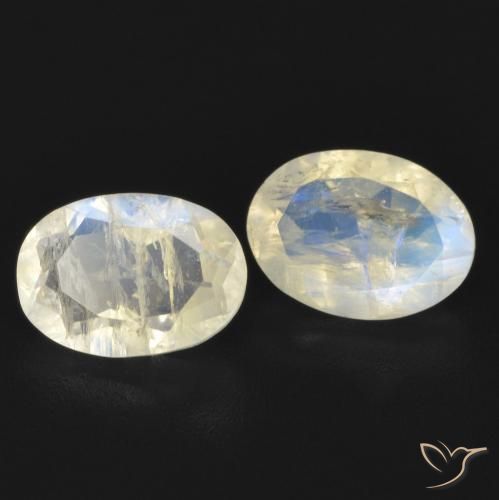 Gemas de Piedra lunar arcoíris Blanco azulado natural de 1.52 ct, Ovalada, Transparente