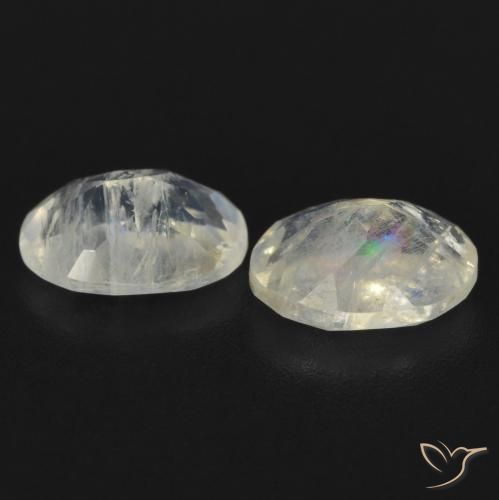 Gemas de Piedra lunar arcoíris Blanco azulado natural de 1.52 ct, Ovalada, Transparente