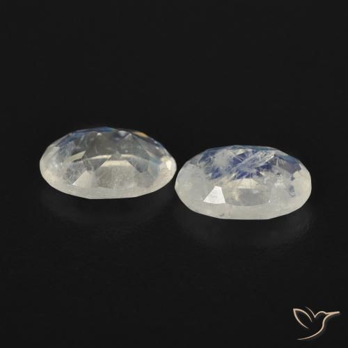 Gemas de Piedra lunar arcoíris Blanco azulado natural de 0.88 ct, Ovalada, Transparente