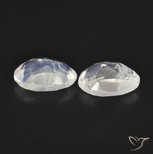 Gemas de Piedra lunar arcoíris Blanco azulado natural de 0.83 ct, Ovalada, Transparente