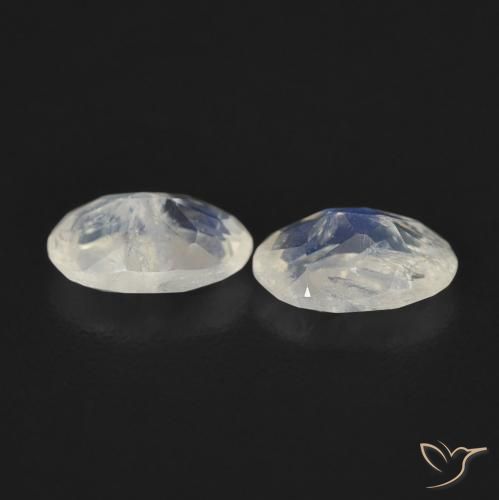 Gemas de Piedra lunar arcoíris Blanco azulado natural de 0.76 ct, Ovalada, Transparente