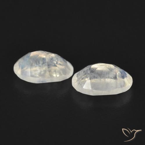 Gemas de Piedra lunar arcoíris Blanco azulado natural de 0.88 ct, Ovalada, Transparente