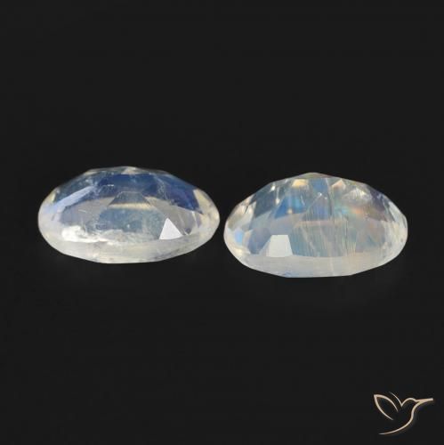 Gemas de Piedra lunar arcoíris Blanco azulado natural de 0.83 ct, Ovalada, Transparente