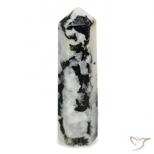43.34ct Natural Blanco con negro Piedra lunar arcoíris, Elegante, Opaco