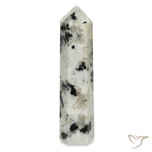 45.95ct Natural Blanco con negro Piedra lunar arcoíris, Elegante, Opaco