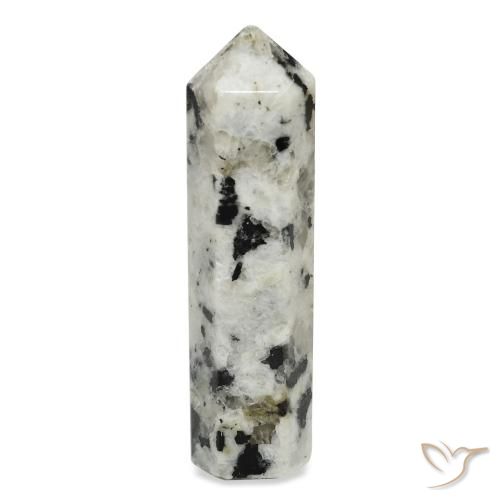 47.54ct Natural Blanco con negro Piedra lunar arcoíris, Elegante, Opaco