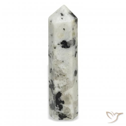 48.76ct Natural Blanco con negro Piedra lunar arcoíris, Elegante, Opaco