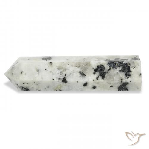 Piedra lunar arcoíris Blanco con negro natural de 48.76 ct, Elegante, Opaco