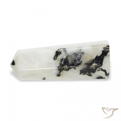 Piedra lunar arcoíris Blanco con negro natural de 31.09 ct, Elegante, Opaco