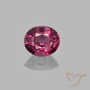 1.43ct Natural Púrpura medio Granate Rodolita, Ovalada, VS