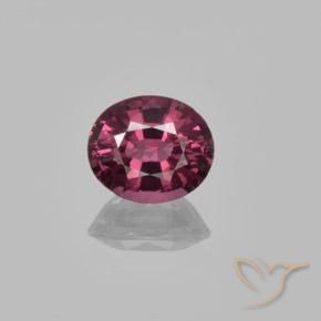 1.37ct Natural Púrpura oscuro Granate Rodolita, Ovalada, VS