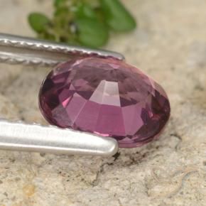 Granate rodolita Púrpura rosado natural de 1.23 ct, Ovalada, VS