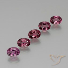 5.74ctw Natural Rosado magenta Granate Rodolita, Ovalada, VVS-VS