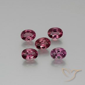 Gemas de Granate rodolita Rosado magenta natural de 5.74 ct, Ovalada, VVS-VS