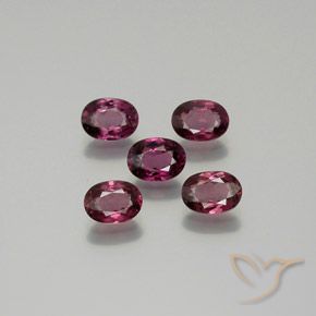 Gemas de Granate rodolita Púrpura oscuro natural de 5.27 ct, Ovalada, VS