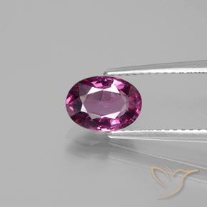 1.50ct Natural Púrpura oscuro Granate Rodolita, Ovalada, VS