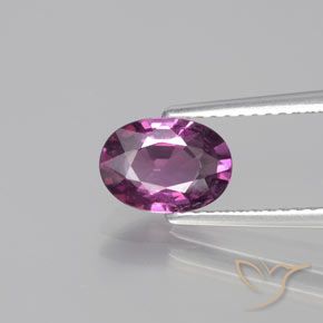 1.38ct Natural Púrpura medio Granate Rodolita, Ovalada, VS