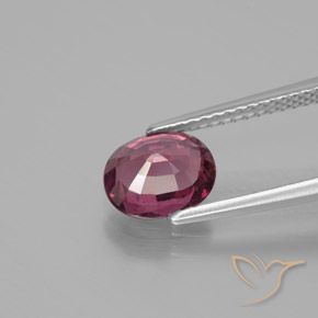 Granate rodolita Rosado magenta natural de 1.64 ct, Ovalada, VS
