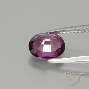 Granate rodolita Púrpura rojizo natural de 1.79 ct, Ovalada, VS