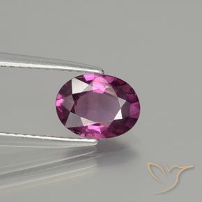Granate rodolita Púrpura oscuro natural de 1.65 ct, Ovalada, VS