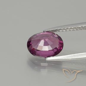 Granate rodolita Púrpura oscuro natural de 1.65 ct, Ovalada, VS
