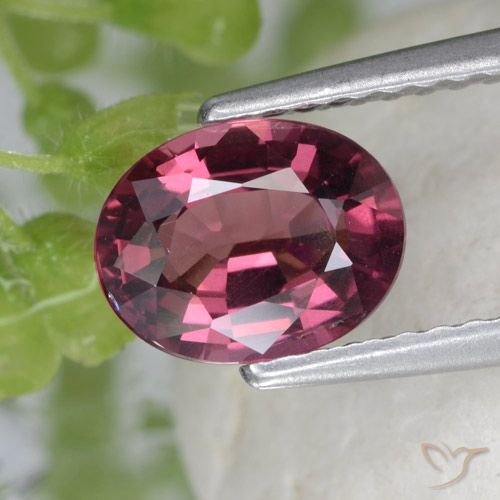 1.53ct Natural Púrpura medio Granate Rodolita, Ovalada, VS
