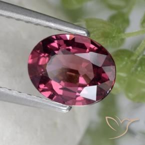 Granate rodolita Púrpura medio natural de 1.53 ct, Ovalada, VS