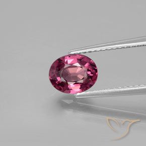 1.45ct Natural Púrpura medio Granate Rodolita, Ovalada, VVS-VS