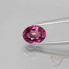 1.50ct Natural Púrpura medio Granate Rodolita, Ovalada, VS