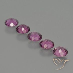 Gemas de Granate rodolita Púrpura oscuro medio natural de 2.69 ct, Redondo, VS