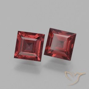 Gemas de Granate rodolita Rojo oscuro natural de 1.53 ct, Cuadrado, VS