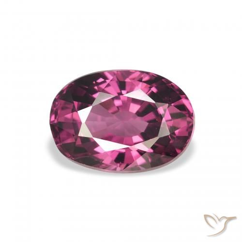 2.67ct Natural Púrpura medio Granate Rodolita, Ovalada, VVS