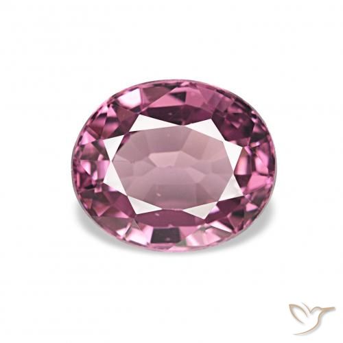 1.33ct Púrpura rosado Granate rodolita, Ovalada, VS