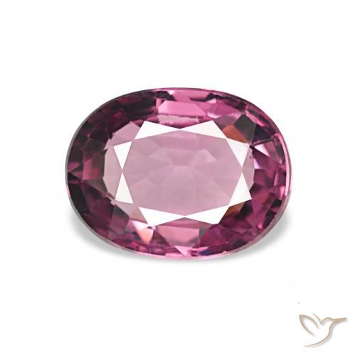 1.17ct Púrpura medio Granate rodolita, Ovalada, VVS