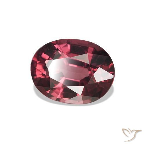 Granate rodolita Medium Dark-Red natural de 1.15 ct, Ovalada, VVS-VS