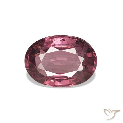 1.00ct Rosado magenta oscuro Granate rodolita, Ovalada, VS