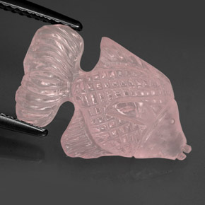 Cuarzo rosa rosa natural de 6,70 ct, transparente, transparente / translúcido