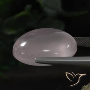 Cuarzo rosa Rosa rosado natural de 33.08 ct, Ovalada, Transparente