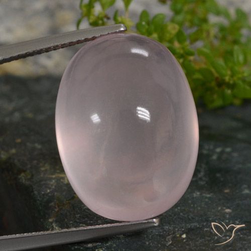27.49ct Natural Rosado claro Cuarzo rosa, Ovalada, Translúcido