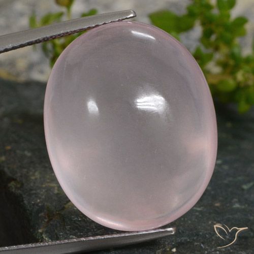 35.16ct Natural Rosado coral Cuarzo rosa, Ovalada, Translúcido