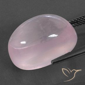 Cuarzo rosa Rosado Bubblegum natural de 19.62 ct, Ovalada, Transparente