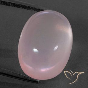 18.97ct Natural Rosado claro Cuarzo rosa, Ovalada, Transparente / Translúcido