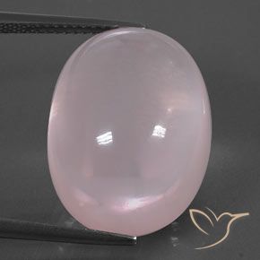 24.14ct Natural Light Pink  Cuarzo rosa, Ovalada, Transparente
